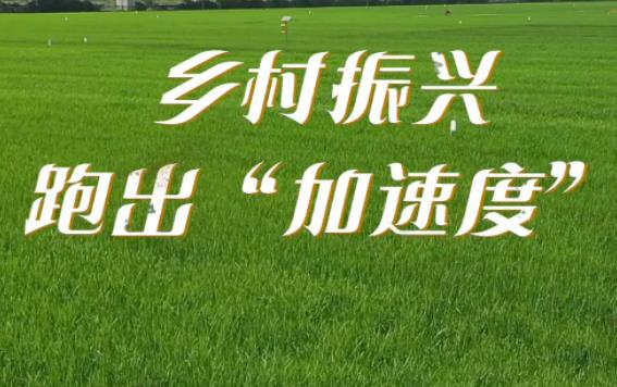 绍兴:乡村振兴唱响“文旅融合”大戏