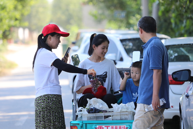 山东省阳信县:小葡萄串起群众的乡村振兴梦