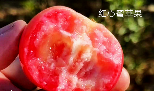 图片4.png